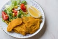 Fried Crispy Sardine Fish Plate with Salad and Lemon / Seafood Sardalya. Royalty Free Stock Photo