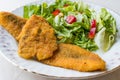 Fried Crispy Sardine Fish Plate with Salad / Seafood Sardalya Royalty Free Stock Photo