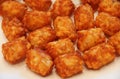 Fried crispy tator tots on a white plate Royalty Free Stock Photo