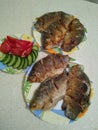 Fried crucian fish on a plate in large quantities with cucumbers and tomatoes