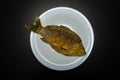 Fried crucians in a pan. Cooking fried fish. A dish of fried crucian carp. Tasty river fish