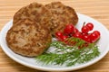 Fried cutlet Royalty Free Stock Photo