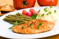 Fried cutlet - schnitzel - with puree and salad Royalty Free Stock Photo