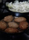 Fried Cutlets Royalty Free Stock Photo