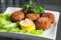 Fried cutlets in the plate