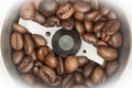 Fried dark coffee beans in an automatic coffee grinder, close-up food background Royalty Free Stock Photo