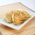 Fried dumplings Royalty Free Stock Photo