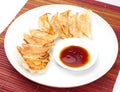 Fried dumplings Royalty Free Stock Photo
