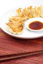 Fried dumplings Royalty Free Stock Photo