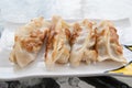 Fried Dumplings Chinese Style Cuisine as Meal Royalty Free Stock Photo