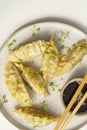 Fried dumplings Gyoza on ceramic plate, soy sauce, sesame and chopsticks on a grey concrete background Royalty Free Stock Photo