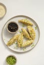 Fried dumplings Gyoza on ceramic plate, soy sauce, sesame on a grey concrete background Royalty Free Stock Photo