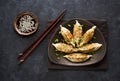 Fried dumplings Gyoza in plate, soy sauce, and chopsticks Royalty Free Stock Photo