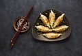 Fried dumplings Gyoza on a plate, soy sauce, and chopsticks Royalty Free Stock Photo