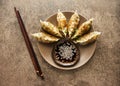 Fried dumplings Gyoza on a plate, soy sauce, and chopsticks Royalty Free Stock Photo