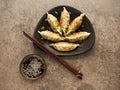 Fried dumplings Gyoza on a plate, soy sauce, and chopsticks Royalty Free Stock Photo