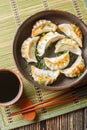 Fried dumplings gyoza with soy sauce and chopsticks closeup on the plate on the table. Vertical top view Royalty Free Stock Photo