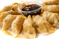 Fried dumplings Royalty Free Stock Photo