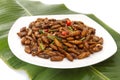 Fried edible insects on white plate and green leaf Royalty Free Stock Photo