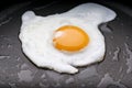 Fried egg