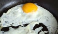 Fried egg in black pan closeup