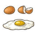 Fried egg and broken shell. Vintage color engraving illustration Royalty Free Stock Photo