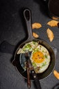 Fried egg in a cast-iron frying pan. Breakfast - kitchen utensils Royalty Free Stock Photo