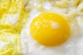 Fried egg. Close-up view of a fried egg in a frying pan. Salty and spicy scrambled eggs with horns