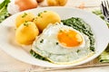 Fried egg with creamed spinach and potatoes