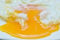 Fried egg with creamy yolk flowing on plate