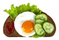 Fried egg, cucumber slices, rye bread, lettuce leaf and ketchup on a white background Royalty Free Stock Photo