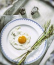 Fried egg and fresh wild asparagus Royalty Free Stock Photo