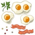 Fried egg isolated on white background with fried bacon, pepper and cilantro Royalty Free Stock Photo