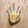 Fried egg nailed to wood.