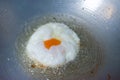 A fried egg with oil on pan. Royalty Free Stock Photo