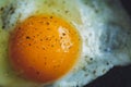 Fried egg on the pan Royalty Free Stock Photo