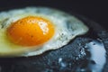 Fried egg on the pan Royalty Free Stock Photo