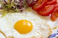Fried egg with vegetables Royalty Free Stock Photo