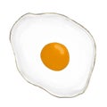 Fried egg realistically illustration with white background