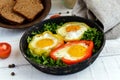 Fried egg in the ring of the bell peppers with herbs and brown bread Royalty Free Stock Photo