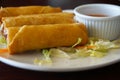 Fried Egg Rolls