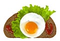 Fried egg, rye bread, lettuce leaf and ketchup on a white background Royalty Free Stock Photo