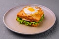 fried egg on sandwich with sausage on plate