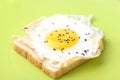 Fried egg on a slice of wholemeal bread Royalty Free Stock Photo