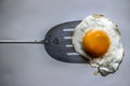 Fried egg and spatula
