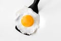 Fried egg on a spatula