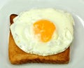 Fried egg on toast