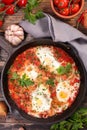 Fried egg with tomato sauce and bell pepper Royalty Free Stock Photo