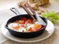 Fried egg with vegetable (shakshuka) Royalty Free Stock Photo