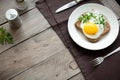 Fried Egg on Wholegrain Toast Royalty Free Stock Photo